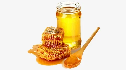 خرید ترنجبین